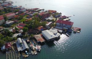 A Real Biodiversity Wonder