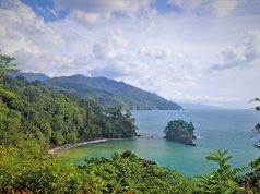 Exotic Nature Full of Life