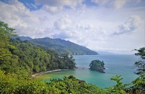 Exotic Nature Full of Life