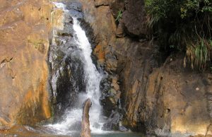 A Natural Paradise to Discover