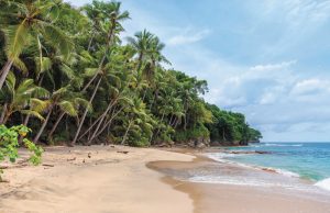 Atlantic Beaches: True Jewels of the Caribbean