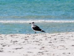 A Destination Full of Adventures