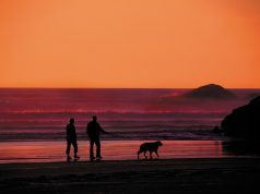 Raise your Quality of Life in Panama