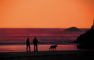 Raise your Quality of Life in Panama