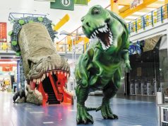 The Largest Mall “Hub” in the Region