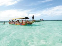 A Marine Paradise Surrounded by Reefs and Crystal Clear Turquoise Waters in the Caribbean