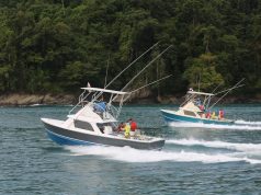 An Adventure for Eco Tourism Lovers