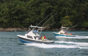 An Adventure for Eco Tourism Lovers