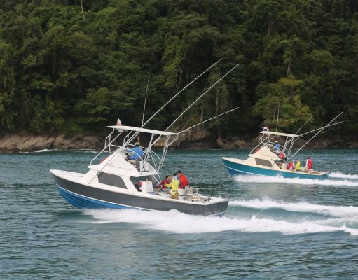 An Adventure for Eco Tourism Lovers