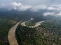 Ancestral Culture and Untamed Nature