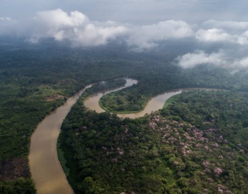 Ancestral Culture and Untamed Nature