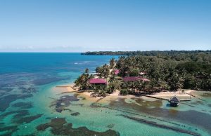 Bocas del Toro, Where Tropical Nature Comes Alive