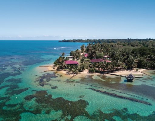Bocas del Toro, Where Tropical Nature Comes Alive