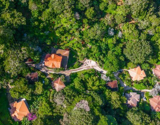 The Coffee Estate Inn