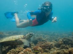 Nature, Culture, and Adventure Between Two Oceans