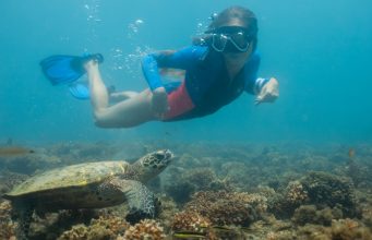 Nature, Culture, and Adventure Between Two Oceans