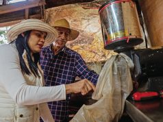 Coffee, An Experience that Connects You with Nature and the Heart of Panama