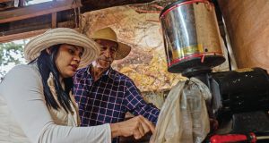 Coffee: An Experience that Connects You with Nature and the Heart of Panama