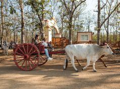 Herrera, an Authentic Experience of the Panamanian Country Region