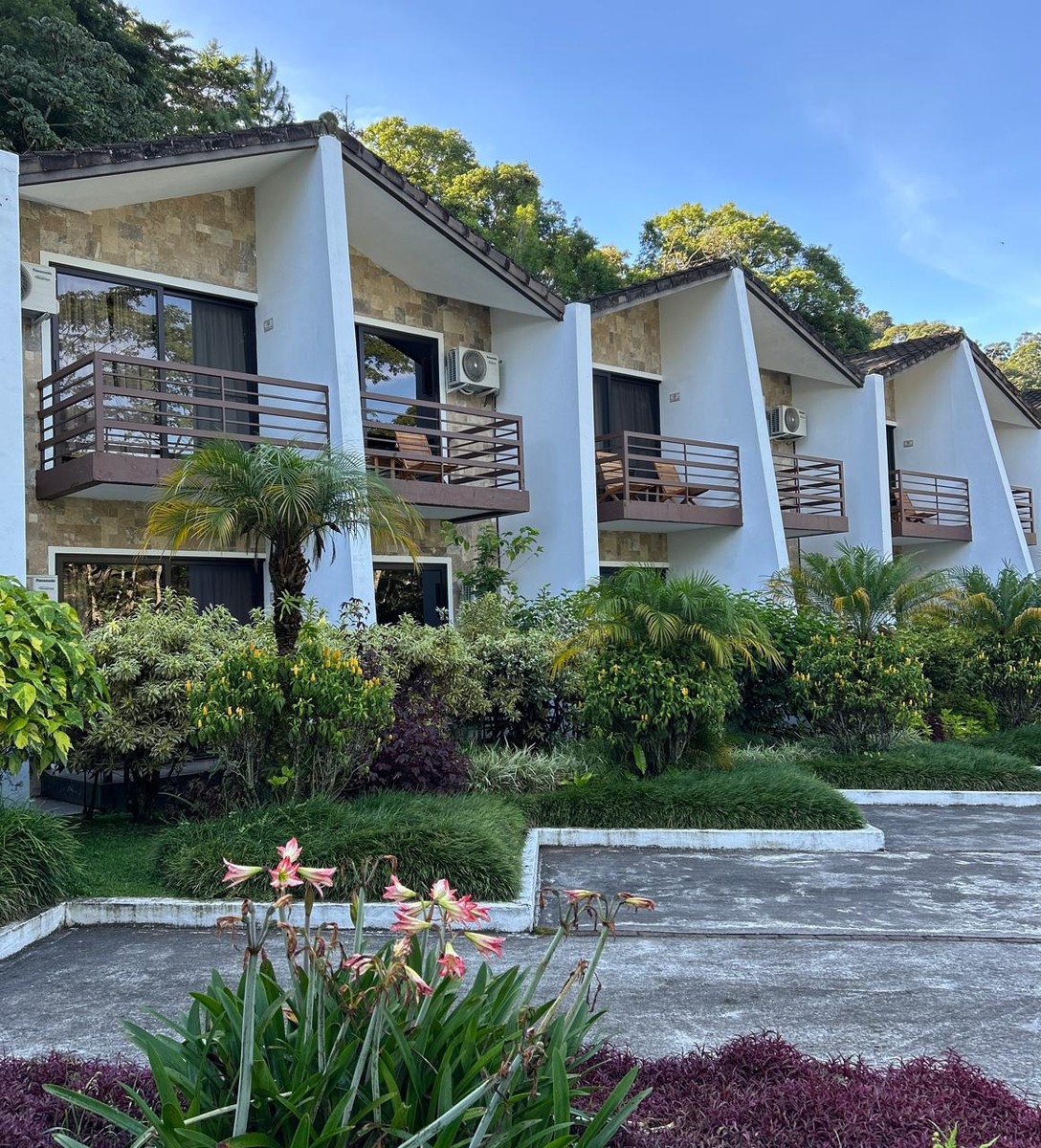 IMG-20250807-WA0018_resultado