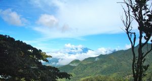 Authentic Experiences Filled with Culture and Nature