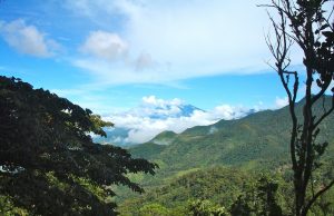 Authentic Experiences Filled with Culture and Nature