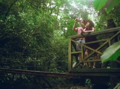Abundancia de Playas, Naturaleza y Tradiciones