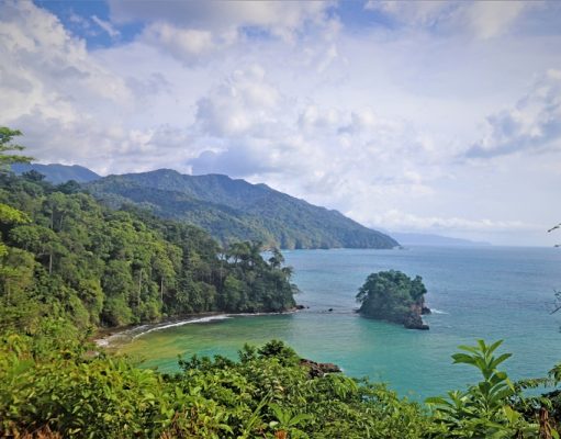 Naturaleza Exótica Llena de Vida