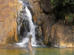 Un Paraíso Natural por Descubrir