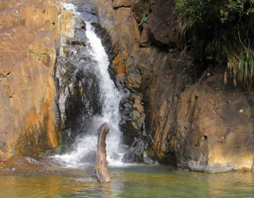 Un Paraíso Natural por Descubrir