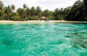 Islas del Atlántico – Maravillas Ecológicas que Cautivan al Mundo