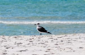 Un Destino Lleno de Aventuras