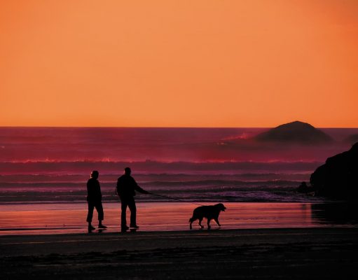 Eleva tu Calidad de Vida en Panamá
