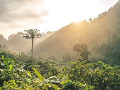 Belleza Salvaje Llena de Aventuras