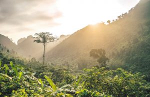 Belleza Salvaje Llena de Aventuras