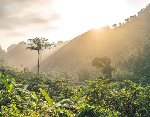 Belleza Salvaje Llena de Aventuras