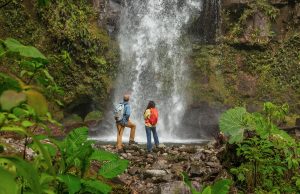 Una Experiencia Natural de Altura