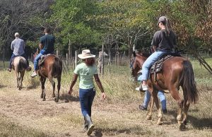 Un Paraiso para Conquistar