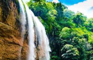 Una Maravilla de la Naturaleza