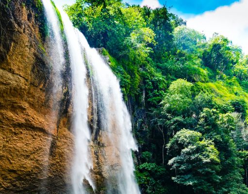 Una Maravilla de la Naturaleza
