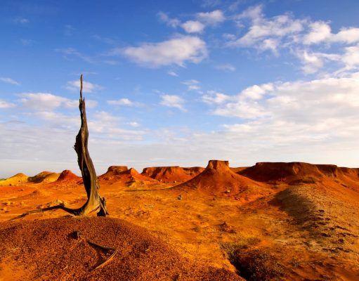 Tierra Donde Todos son Bienvenidos