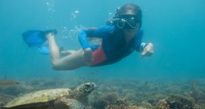 Naturaleza, Cultura y Aventura entre Dos Océanos