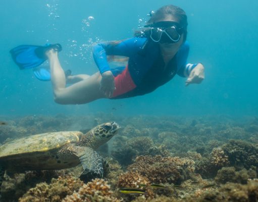 Naturaleza, Cultura y Aventura entre Dos Océanos