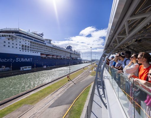 Maravilla de la Ingeniería Rodeada de Fascinante Biodiversidad