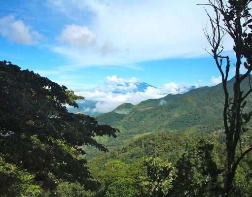 Experiencias Auténticas llenas de Cultura y Naturaleza