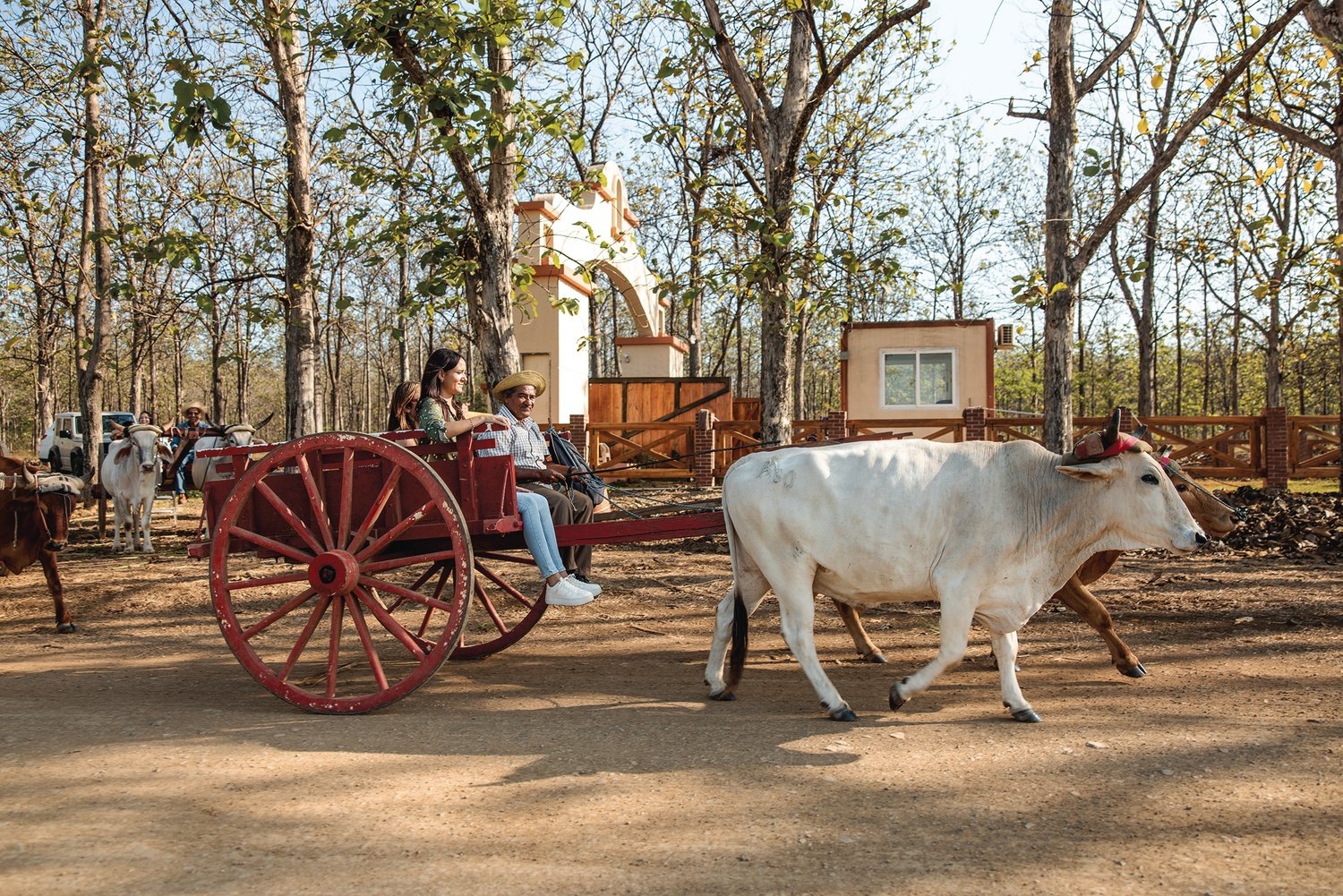 Hacienda San Isidro, Pesé, Herrera Province, Panamá (2)-ret_0033